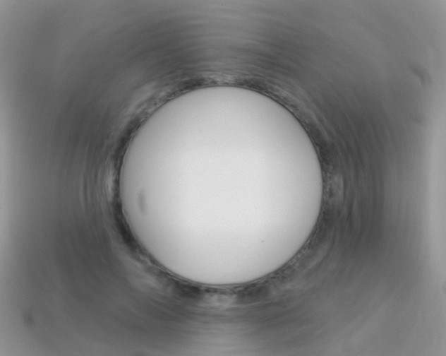 X0000114240694200910091349