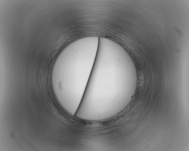 X0000114240695200910091349