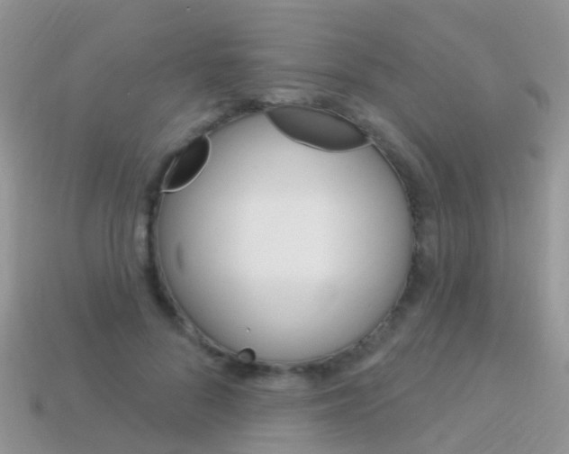 X0000114240696200910091349