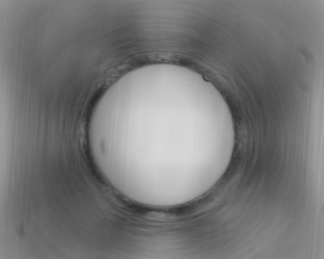 X0000114240699200910091349