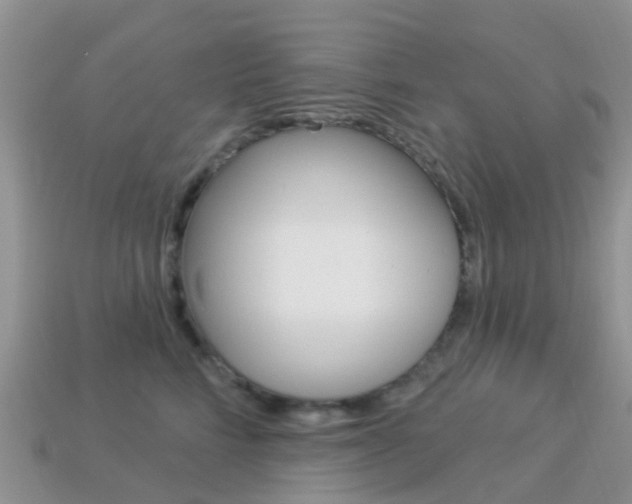 X0000114240712200910091349