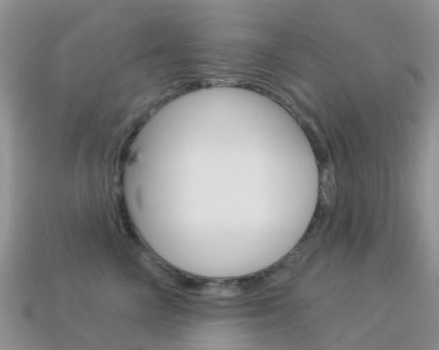 X0000114240714200910091349