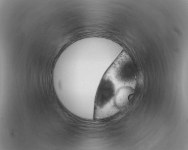 X0000114240715200910091349