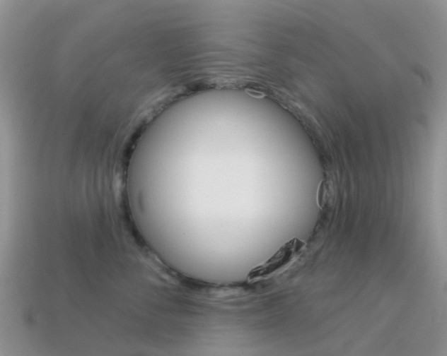 X0000114240716200910091349