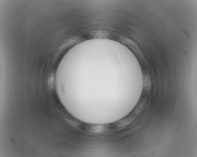 X0000114240717200910091349