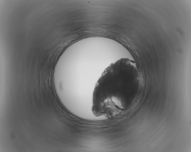 X0000114240719200910091349