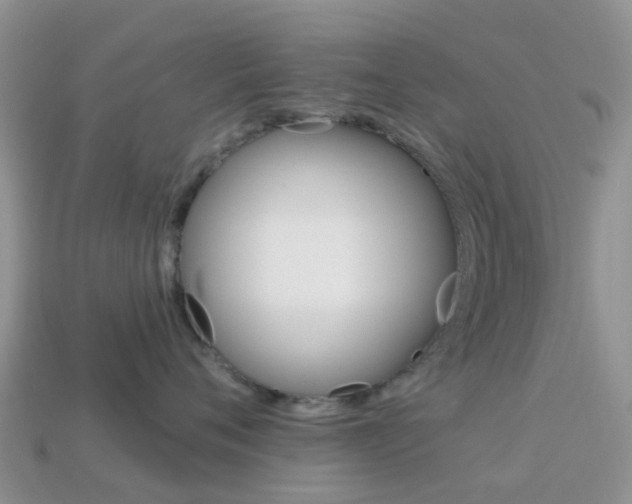 X0000114240720200910091349