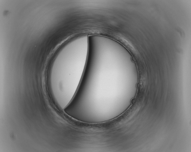 X0000114240722200910091348