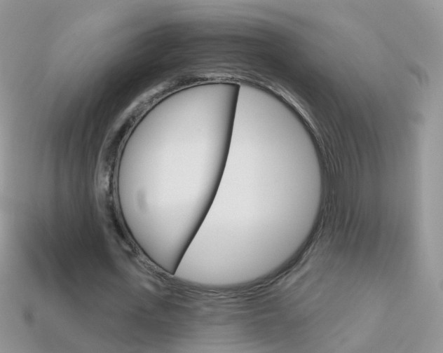X0000114240723200910091348