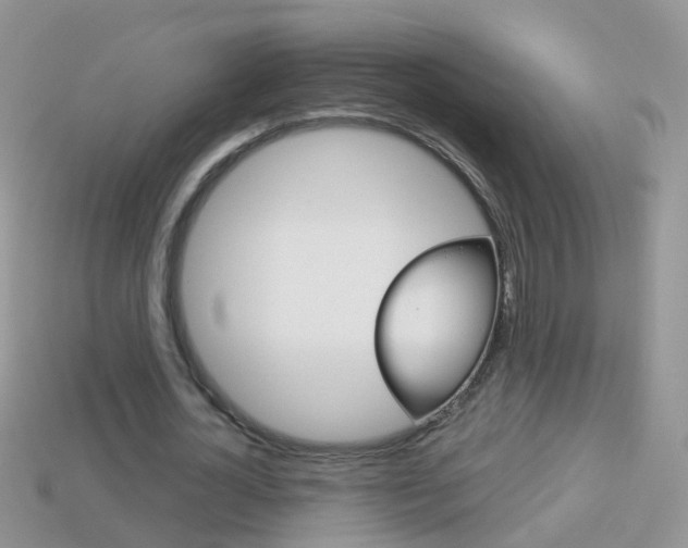 X0000114240724200910091348