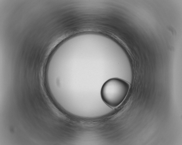 X0000114240725200910091348