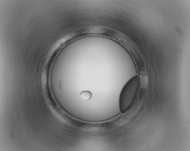 X0000114240726200910091348