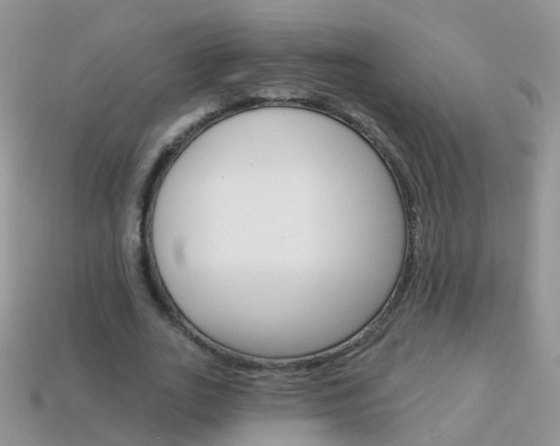 X0000114240727200910091348