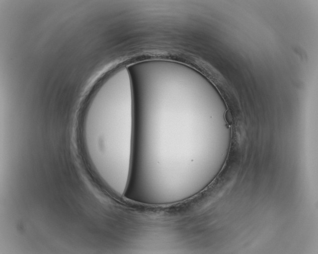 X0000114240728200910091348