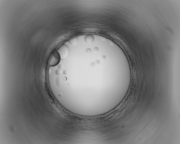 X0000114240729200910091348