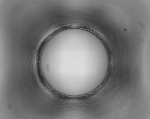 X0000114240730200910091348