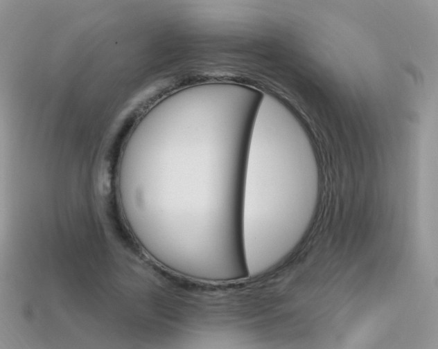 X0000114240731200910091348