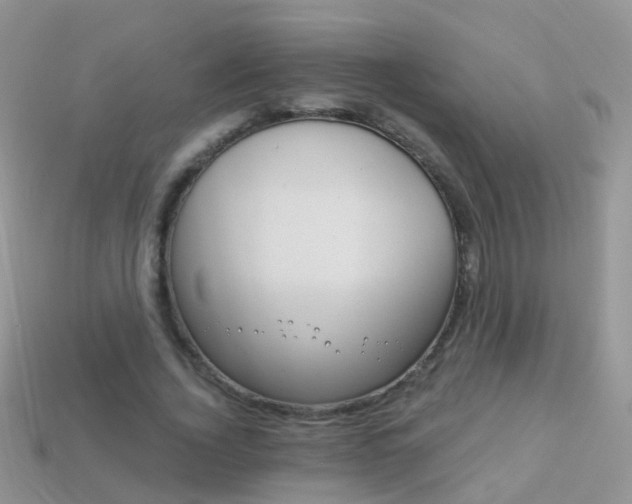 X0000114240732200910091348