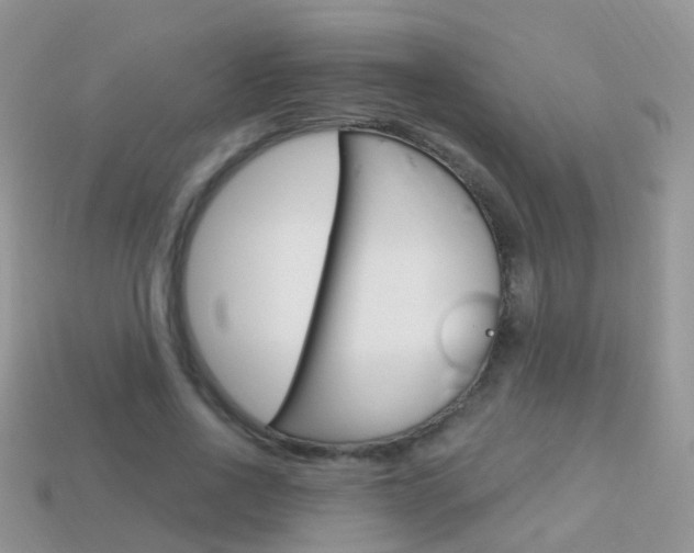 X0000114240734200910091348