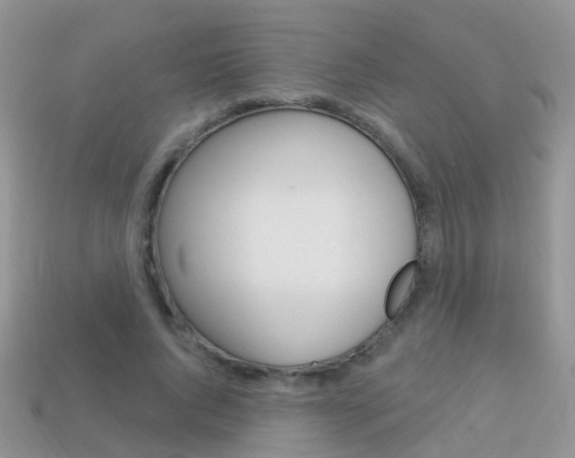 X0000114240736200910091348