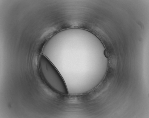 X0000114240740200910091348
