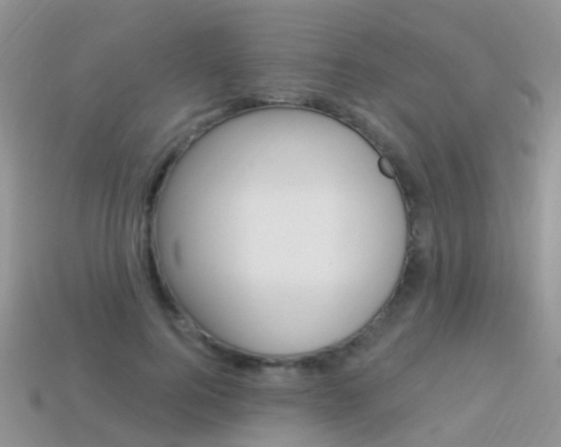 X0000114240744200910091348