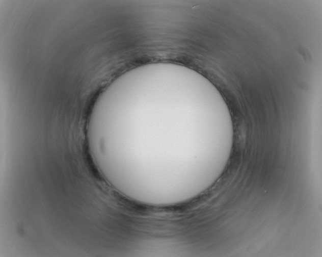 X0000114240746200910091348