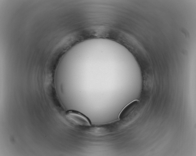 X0000114240748200910091348