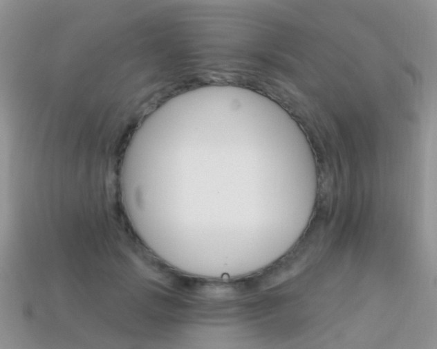 X0000114240749200910091348