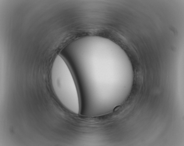 X0000114240750200910091348