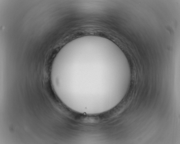 X0000114240751200910091348