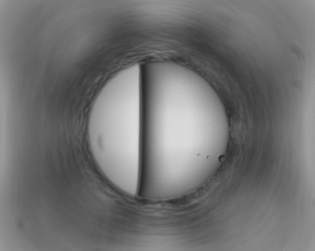 X0000114240752200910091348