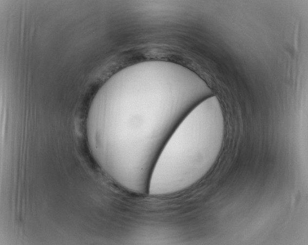 X0000114240755200910091348