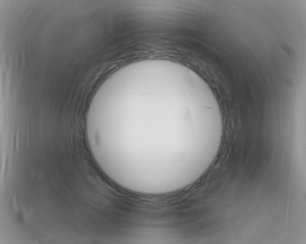 X0000114240756200910091349