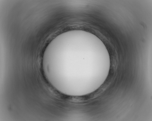 X0000114240758200910091349