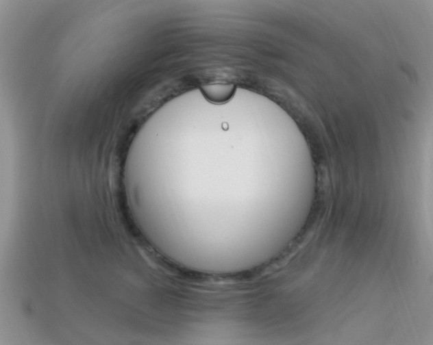 X0000114240760200910091349