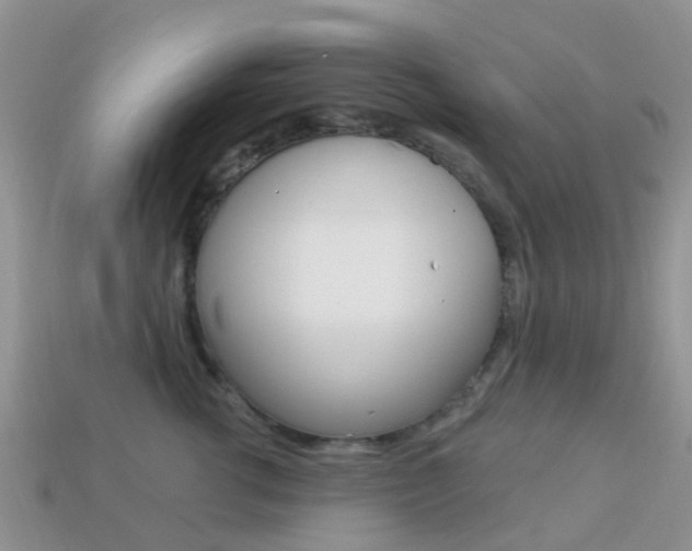 X0000114240762200910091349