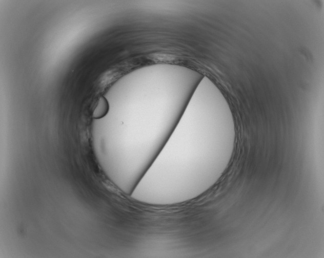 X0000114240763200910091349