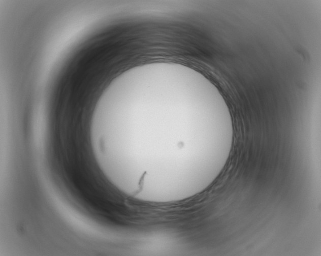 X0000114240764200910091349