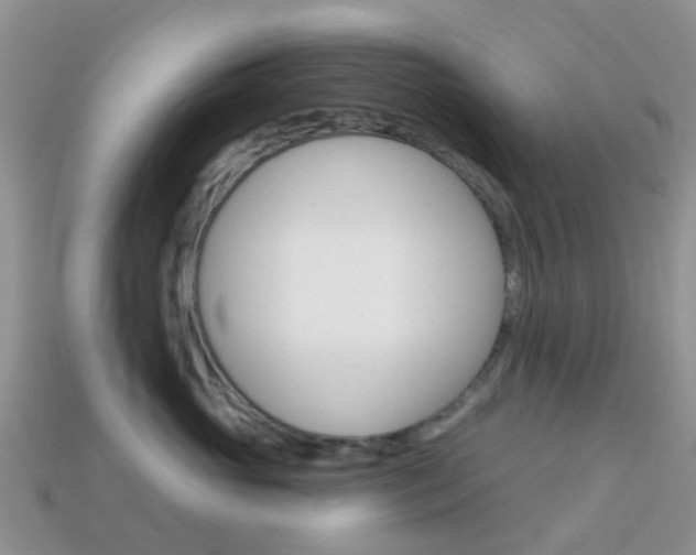 X0000114240765200910091349