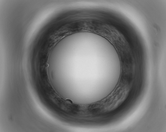 X0000114240766200910091349