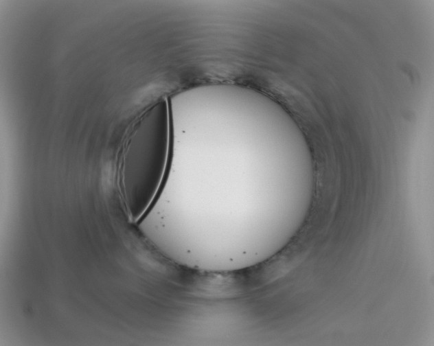 X0000114240768200910091349