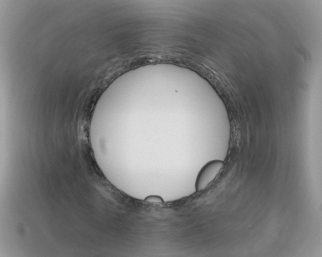 X0000114240770200910091348