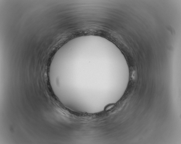 X0000114240771200910091348