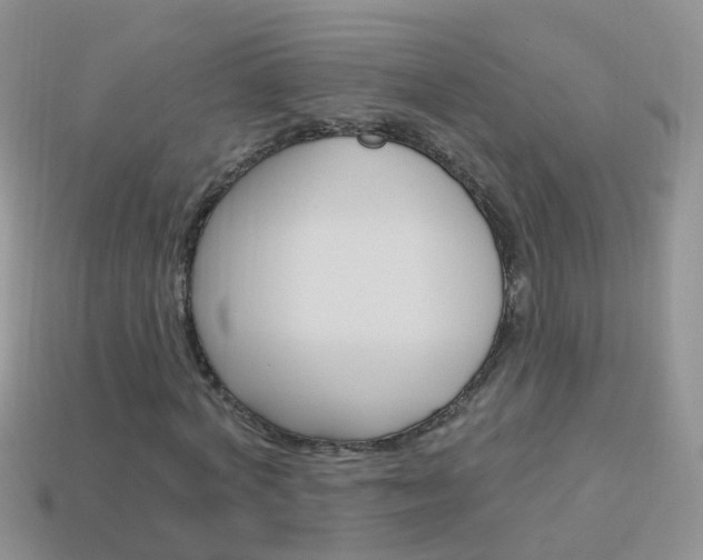 X0000114240772200910091348