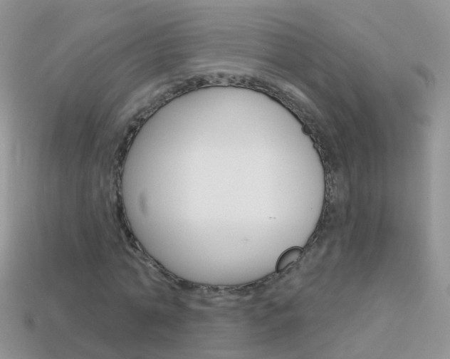 X0000114240774200910091348