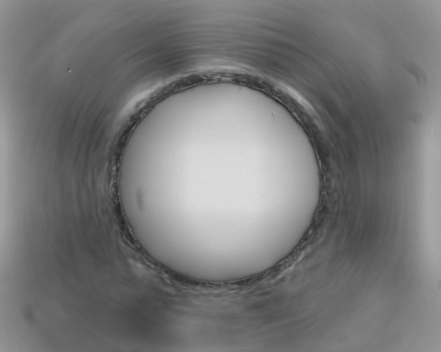 X0000114240775200910091348