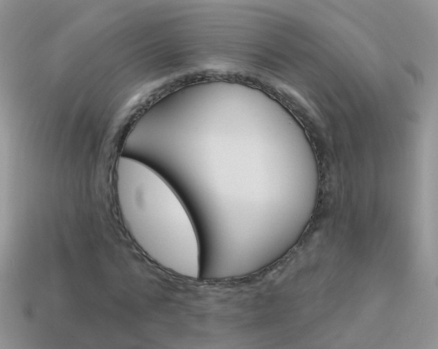 X0000114240776200910091348