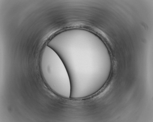 X0000114240778200910091348