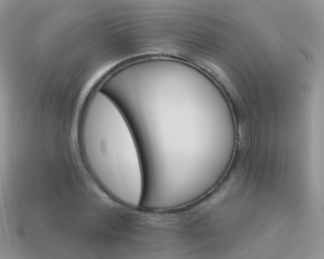 X0000114240780200910091348